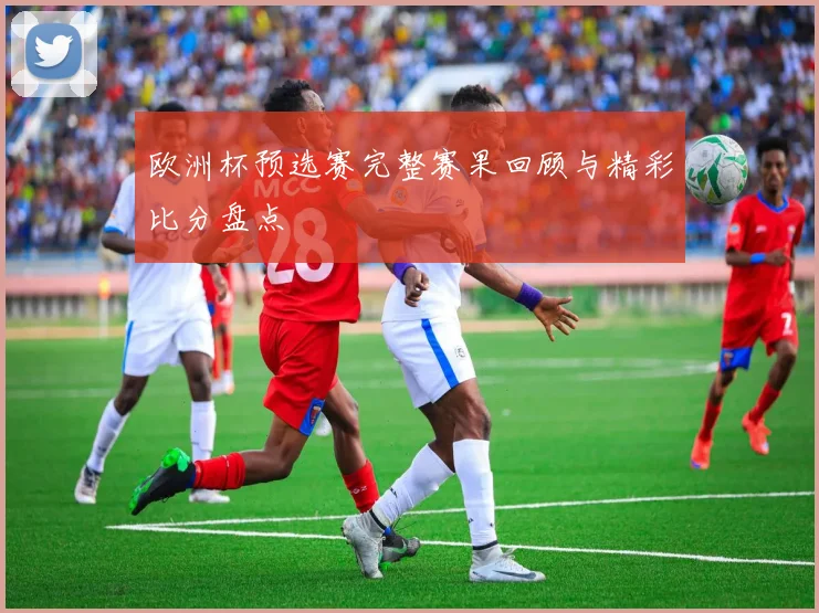 欧洲杯预选赛完整赛果回顾与精彩比分盘点